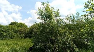 Постарела и что делать?! Про похудение и возраст. Критикуны оживились! Жаркий поход