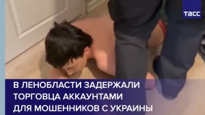 В Ленобласти задержали торговца аккаунтами для мошенников с Украины