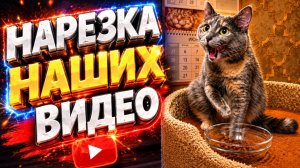 Нарезка наших видео.