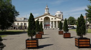 НА УЛИЦЫ КРАСНОЯРСКА ВОЗВРАЩАЮТ ПАЛЬМЫ И ТУИ