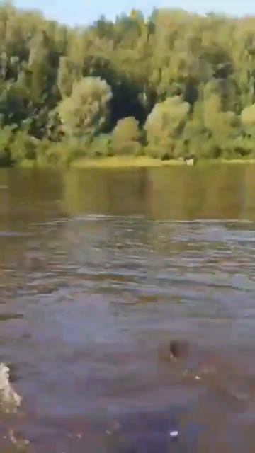 рыба сама рыгает в лодку смотреть онлайн