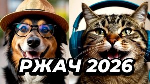 Смешные животные 2026-Коты и собаки поржали до слёз🐕😂