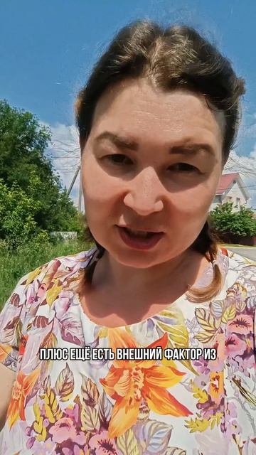 Программы смотреть онлайн