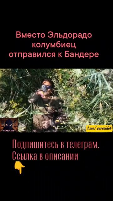 Вместо Эльдорадо колумбийский наёмник отправился к бандере