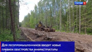 Для лесопромышленников вводят новые правила обустройства инфраструктуры