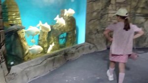 Океанариум в Сафари Парке на Калужском ш
