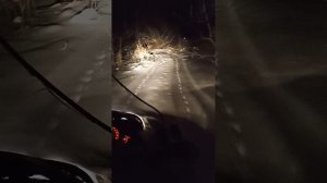 1000037430.mp4