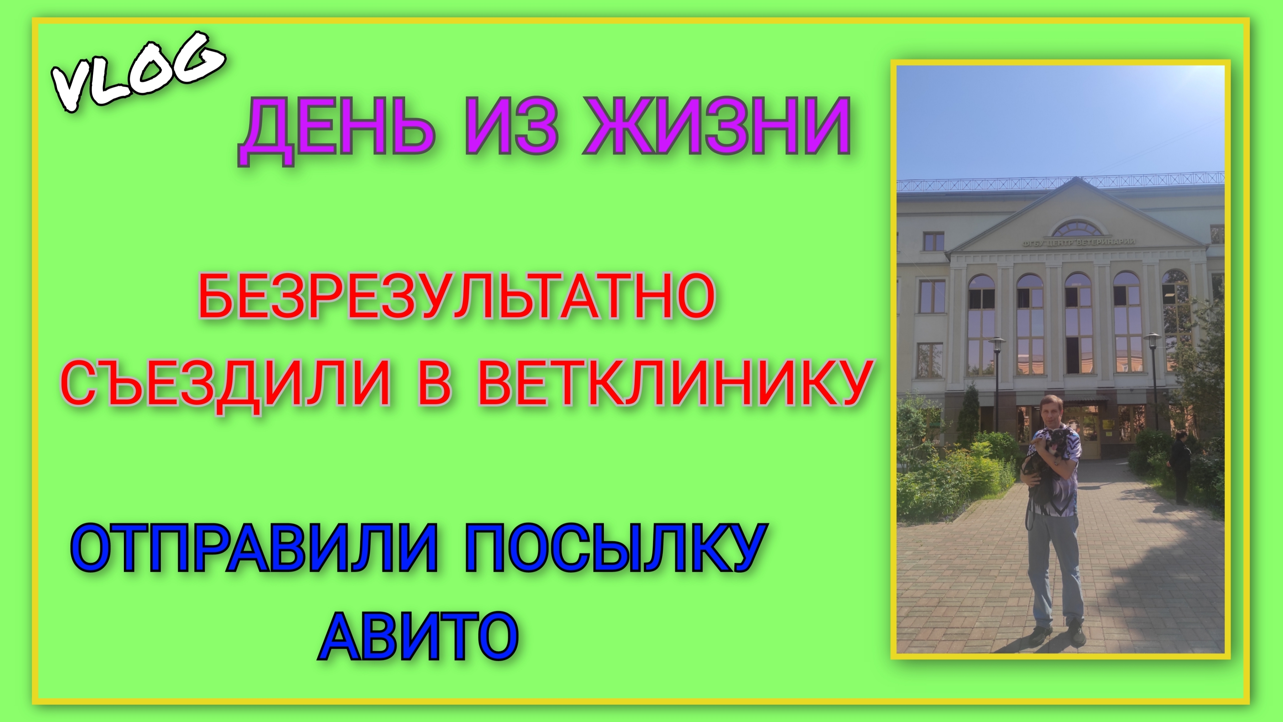 🍒 МИНИ-ВЛОГ: Безрезультатно съездили в ветклинику, но закладку оставили/ Отправили посылку Авито