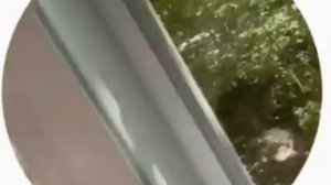 😳Женщина родила прямо на улице в Новосибирске.