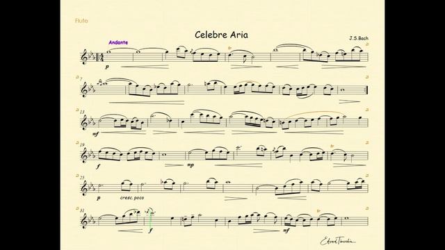 Bach, Johann Sebastian - Celebre Aria - backing track with metronom for flute