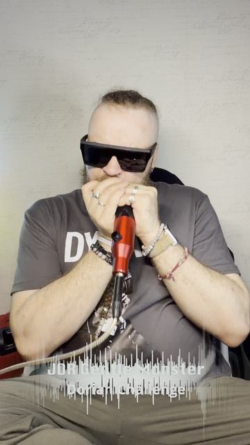 Борис Плотников - Dorian harmonica challenge - JDR Gentle Monster C смотреть онлайн
