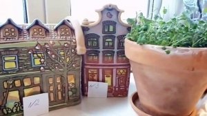video_2024-04-17_16-34-59