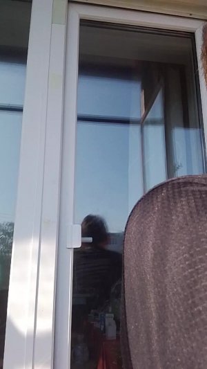 роблокс разблокали