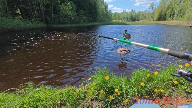 МОИ ИДЕАЛЬНЫЕ ВЫХОДНЫЕ НА ДАЧЕ 🏡МЯСО НА УГЛЯХ, РЫБКИ И ЛЕСНЫЕ ГОСТИ 🐠 ДАЧНЫЙ ВЛОГ 🎥