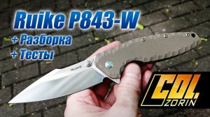 Ruike P843-W