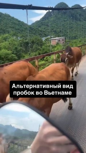Эта страна обладает удивительными контрастами.