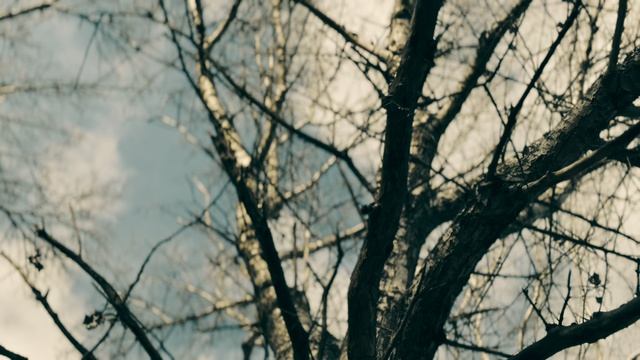 Курганинск влог река Лаба смотреть онлайн