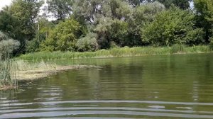 Река Хопер. Пляж Полукруг. Город #Балашов