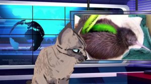 Под этим видео пишите свои вопросы^^