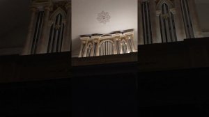 Фрагмент органного концерта Светланы Фурник в церкви Святой Екатерины, Санкт-Петербург, июнь 2026