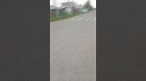 гроза