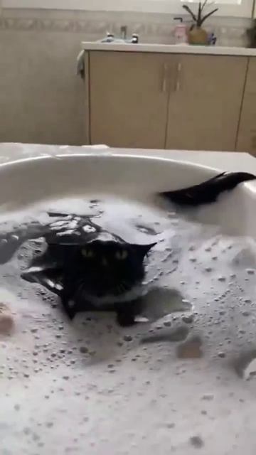 Ты за это ответишь смотреть онлайн