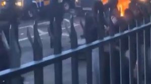 Ирландские протестующие против нелегальной иммиграции, патриоты Ирландии вступают в рукопашные схват