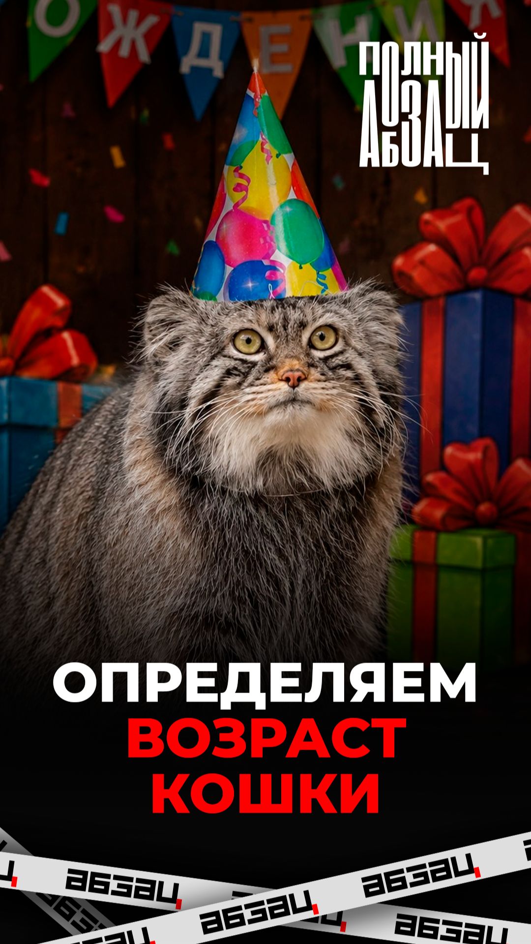 Определяем возраст кошки