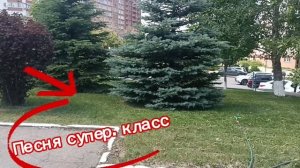 GARIK**ПУСТЬ БАЗАРЯТ** КТО ПОНЯЛ  ТОТ ПОНЯЛ МНЕ 🤔💭🤔💭ЗАШЛА ПЕСНЯ. КАЖДОМУ СВОЁ.         ПОСЛУШАТЬ