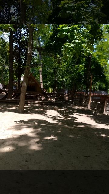 Мы ехали к альпакам, но не только...
