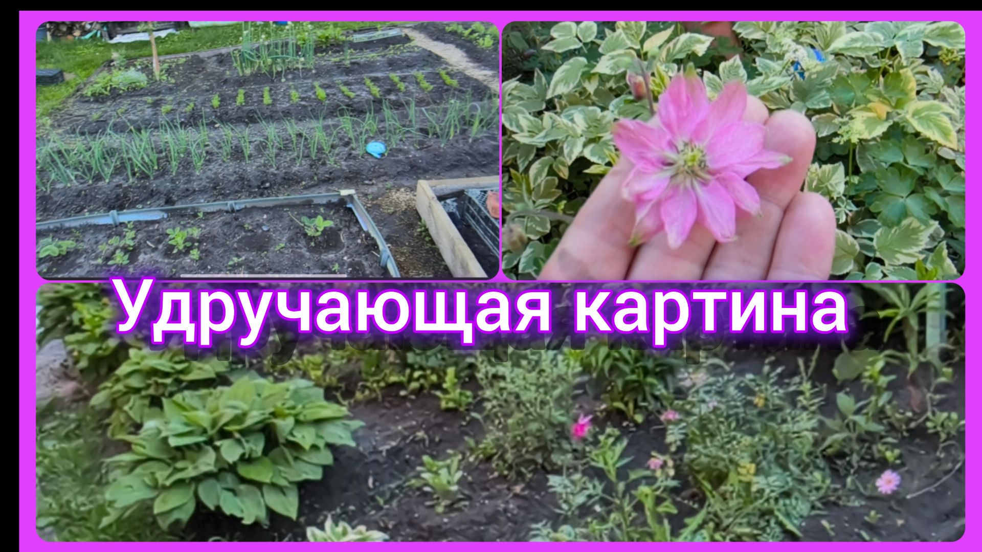 Цветов не будет, но можно и так! 🤗❤
