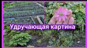 Новости дня 💁♀️Что я решила.