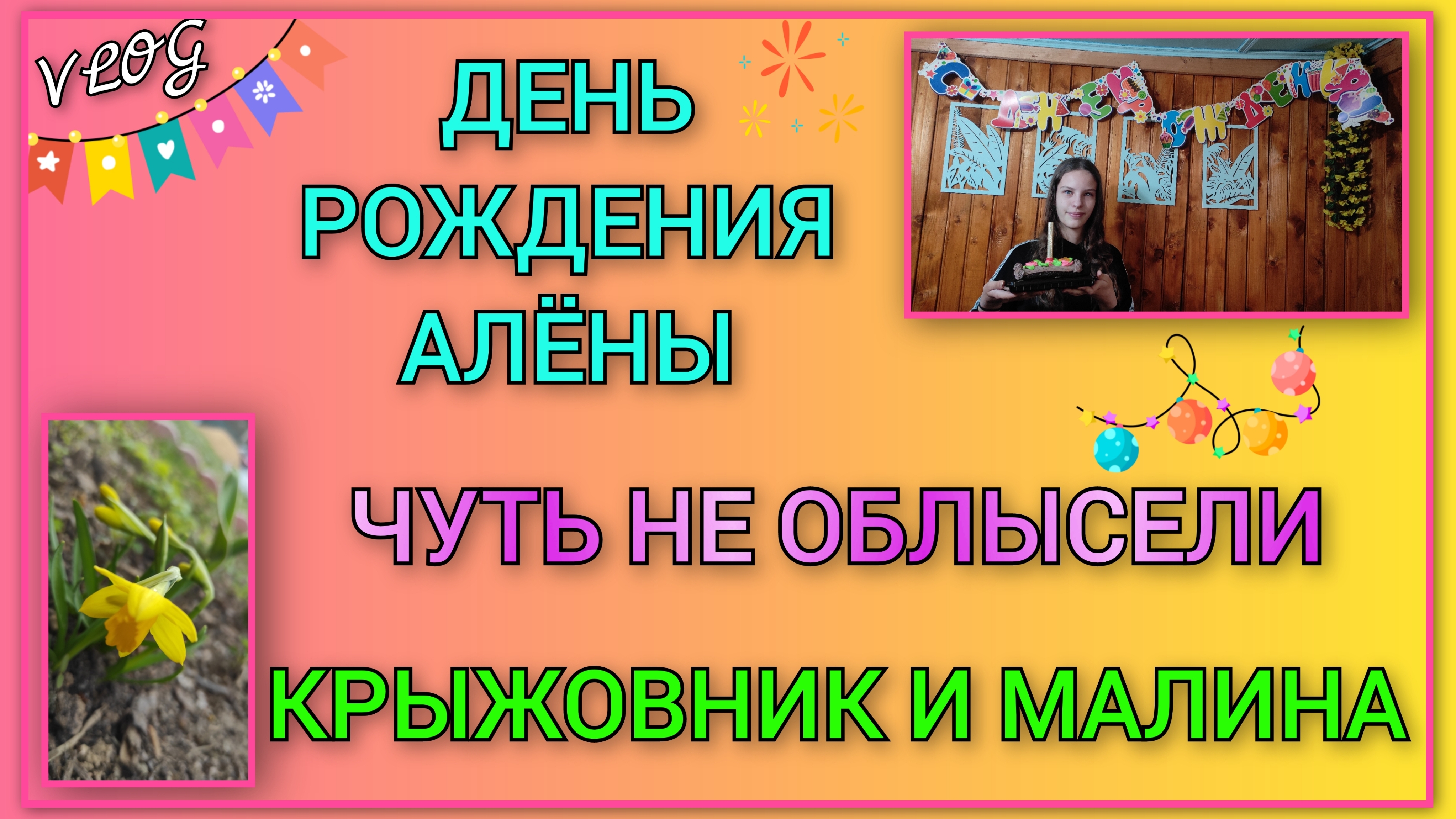 🍒 Зачистили пятак от крыжовника/ Пересадили последний куст малины/Ищем детей/День рождения Алёны,14