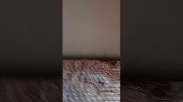 Василий. смотреть онлайн