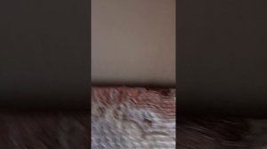 Василий.