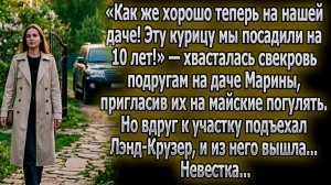 Как здесь хорошо! Эту курицу мы посадили на 10 лет | Истории из жизни | Реальные истории