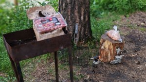 Жарю шашлык на берегу Катуни. Горный Алтай. Чемал