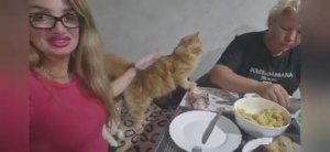 Алиса Неземная. ВОТ ТАКОЙ БЫЛ ДЕНЬ...А ВЕЧЕРОМ МАНГАЛ И УЖИН😊🍗🥬🥒🫜