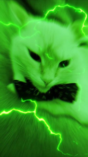 Котя смотреть онлайн