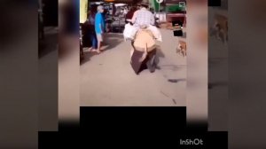 Бывает 👀 прикол😆