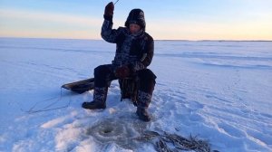 Рыбачил на махалку 61 см, кончик 1 мм и блесну Вега (немецкое серебро) от Mr.Musurok 🔥