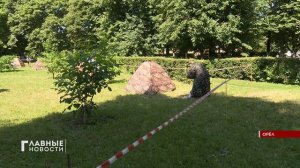 Орёл уже начал отмечать День России.