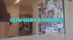 Сельчанка в Америке Я НА РАБОТЕ НОВОСТЬ ОТ КОТИКА БОЛТИКАБЫСТРЫЙ ШОПИНГ