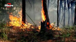 В Югре ликвидировали 8 природных пожаров