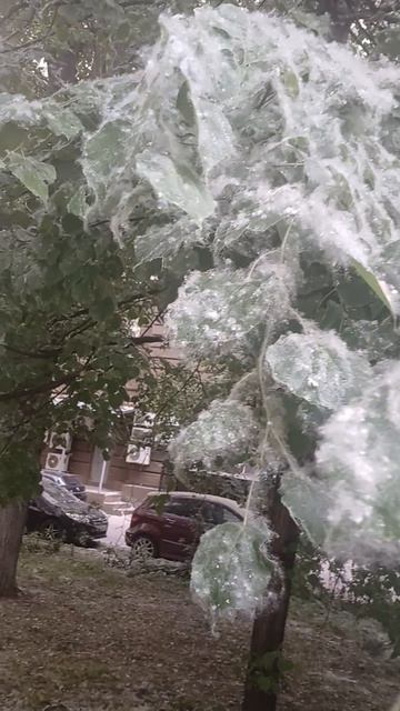 Настоящее бедствие...