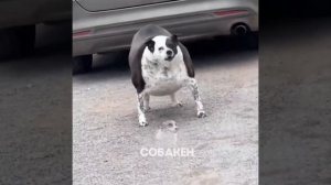 Федя22к.
