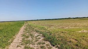 полевая дорога только на бумаге