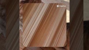 1000061650.mp4 (Собака наблюдает за укладкой пола из листов фанеры на 2-ом этаже в доме А-фрейм)