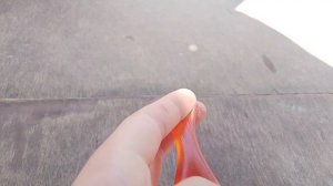 лизуны прилипалы