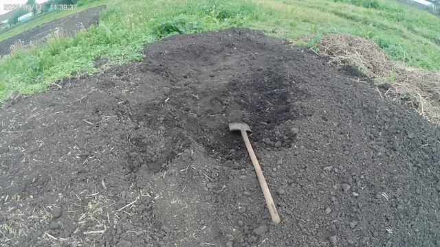 Ну вот и помидорам счастье привалило. смотреть онлайн